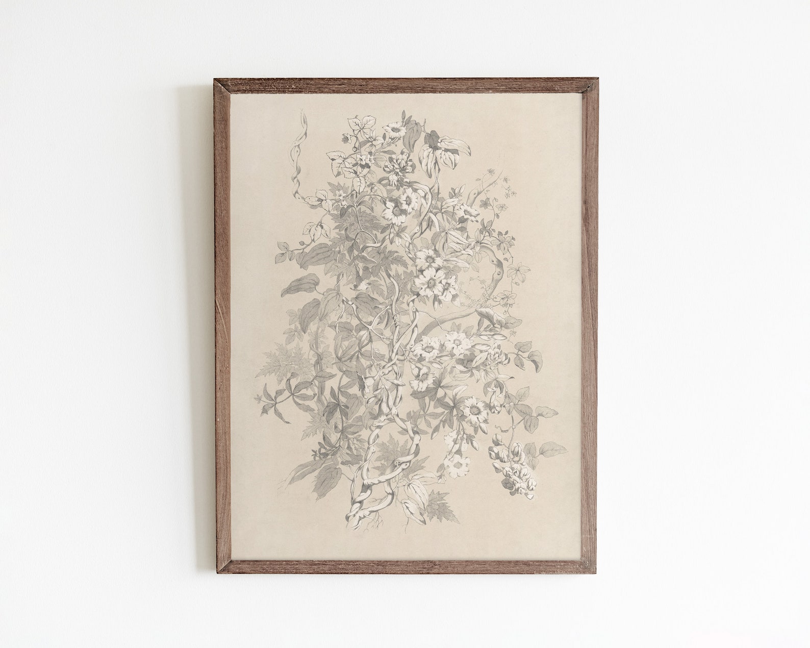 Vintage Floral Sketch Wall Art Antique Botanical Drawing Etsy