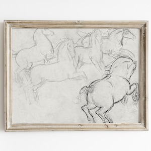Vintage Horse Sketch Print: Equestrian Line Art (Digital Download)