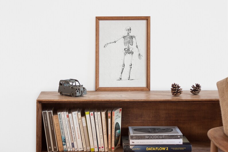 May include: A wooden shelf with a framed print of a human skeleton, a small toy car, two pine cones, and a row of books. The books include titles like "Woodcut" and "Data Flow 2".