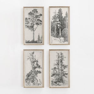 Sketch art, tree drawing, vintage drawing, antique sketch, vintage art, botanical print, tree sketch, printable art, gallery wall art
