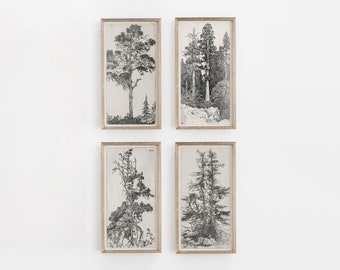 Vintage Tree Sketch Art Prints: Botanical Gallery Wall (Digital Download)