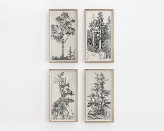 Sketch Art Tree Drawing Vintage Drawing Antique Sketch Etsy Canada