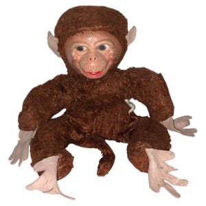 Può includere: Una bambola di scimmia di peluche vintage con un corpo in pelliccia marrone e un viso realistico. La bambola ha una testa, orecchie e arti in pelliccia marrone, con un viso, mani e piedi di colore chiaro. La scimmia è seduta con le gambe divaricate.