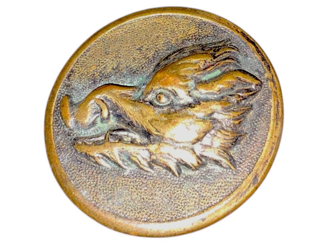 Antique Boars Head Wild Hog Clothing Button ULTRA RARE Brass 1800’s the ...