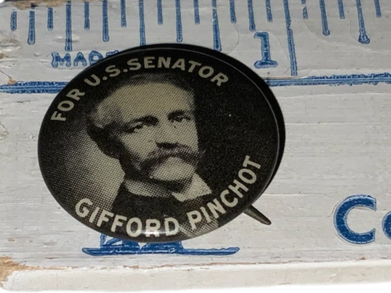 Antique Gifford Pinchot For U.S. Senator Campaign… - image 3