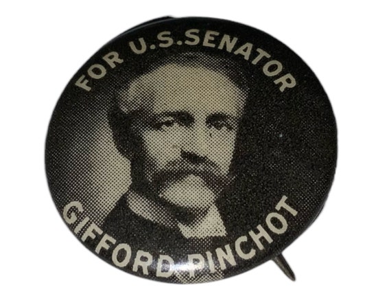 Antique Gifford Pinchot For U.S. Senator Campaign… - image 1