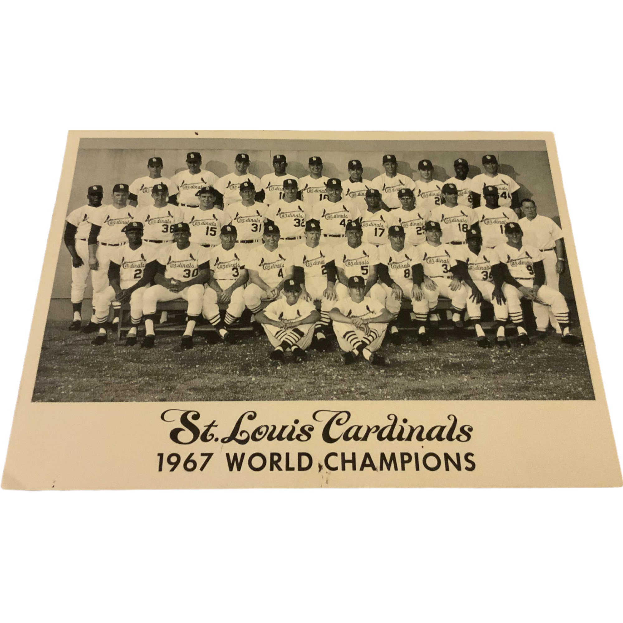 1967 St Louis Cardinals SGA  World Series Champions Replica Trophy Mint