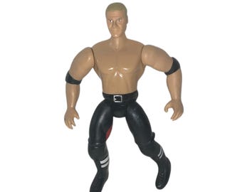 WWE トリプル H アクションフィギュア ヘアピース ジャックス 欠品