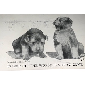 Vintage 1911 Cheer Up The Worse Is Yet To Come Puppy Dog Postkaart Souvenir Memorabilia Postkaart Vincent Colby