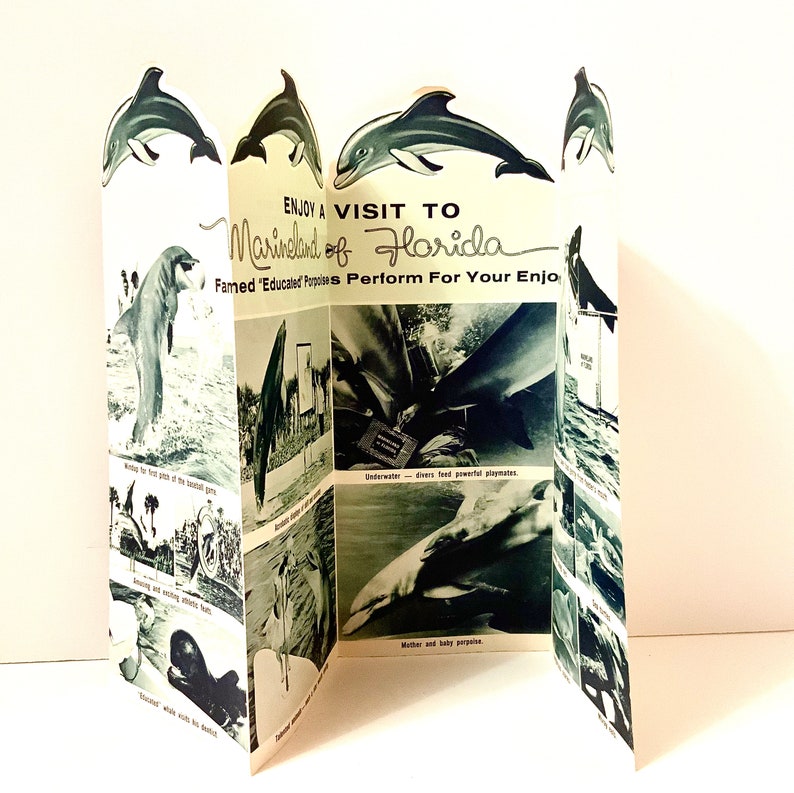 Vintage Antique Estate Marineland of Florida Travel Vacation Brochure Hotel Pamphlet Card Dolphins Porpoises