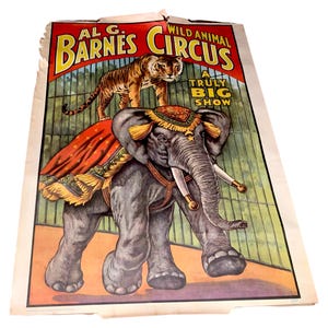 Vintage 1960 Al G. Barnes Circus Poster Wild Animal A Truly Big Show Tiger Riding Elephant World Circus Museum
