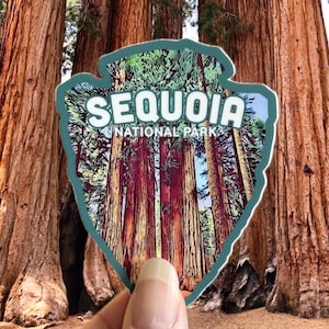 May include: A green and white sticker with the text "Sequoia National Park" and a picture of giant sequoia trees. The sticker is being held in front of a group of giant sequoia trees.