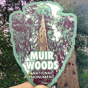 Muir Woods National Monument Weatherproof Sticker