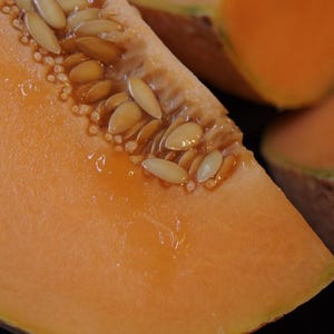 Sweet Passion Cantaloupe Seeds (20+ Count) – Organic & Heirloom from Bowles Acres