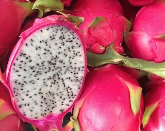 Dragon Fruit Seeds – Red Exterior, White Flesh, Fresh | Rare Plants