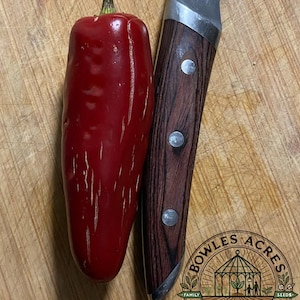 Jalapeño (Heatless) Pepper Seeds | 15+ Count | Mild Heirloom Pepper | Organic Non-GMO