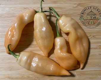 Sugar Rush Peach Pepper Seeds 15+ | Rare Hot Chili Pepper Heirloom