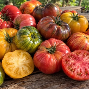 May include: A collection of heirloom tomatoes in various colors including red, yellow, green, and purple, with some showing striped patterns. Two tomatoes are sliced in half, revealing their internal flesh and seeds. The text Rare Plant Shack is visible.