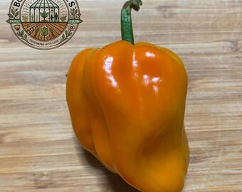 Petit Marseillais Pepper Seeds | Rare French Heirloom Sweet Pepper