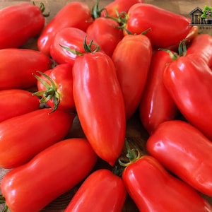 May include: A collection of bright red, elongated plum tomatoes with smooth, shiny skins and small green stems attached. The tomatoes are clustered together, displaying their characteristic oblong shape and vibrant color, with the Rare Plant Shack logo visible in the top right corner.
