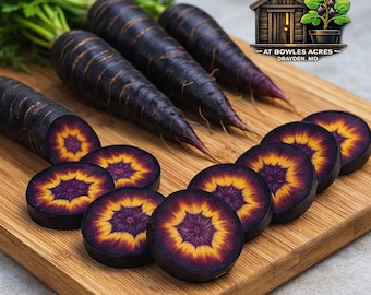 Black Nebula Carrot Seeds – Deep Purple Carrots, Rare Heirloom | High Antioxidants