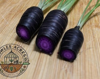 Pusa Asita Black Carrot Seeds | Deep Purple Heirloom | Rare