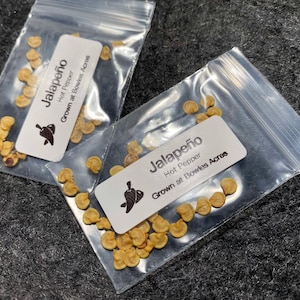 Organic Jalapeño Seeds (30+ Count) – Non-GMO, Heirloom Seeds from Bowles Acres Family Farm