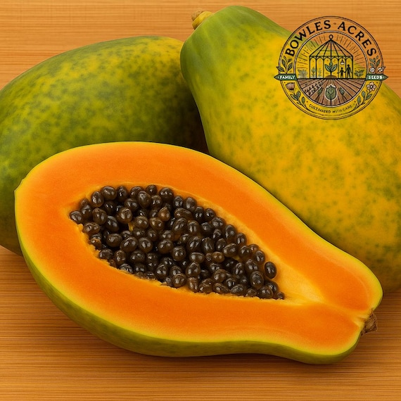 Papaya Seeds | 15+ | Tropical Fruit | Bowles Acres