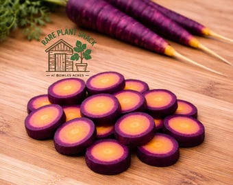 Rare Purple And Orange Heirloom Carrots | Lila Lu Sang Carrot Seeds