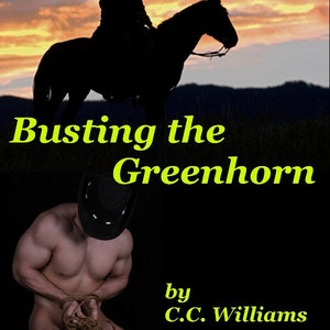 Busting The Greenhorn