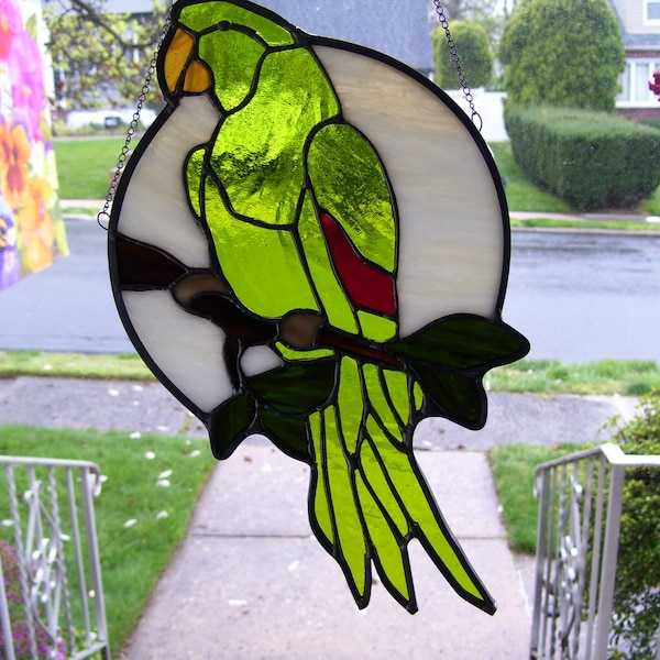 Stained Glass  Hahns macaw Parrot Sun catcher