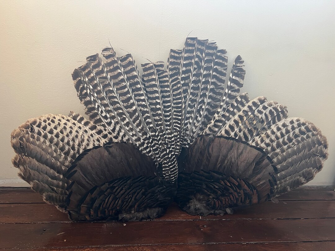 Turkey Wing Feathers Rustic Crafts Decor Outdoor Taxidermy Etsy