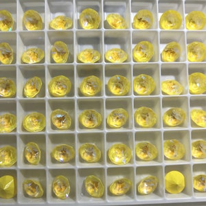 May include: A tray filled with numerous faceted yellow gemstones. Each gem is set within a square compartment, showcasing their brilliant cut and reflective surfaces. The gems vary slightly in shape and size, creating a visually appealing display.