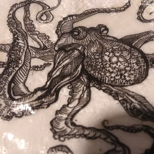 Octopus on Maine Scallop Shell image 7