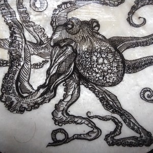 Octopus on Maine Scallop Shell image 4