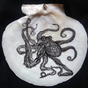 Octopus on Maine Scallop Shell