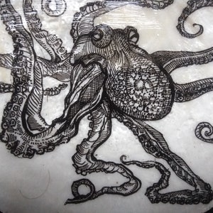 Octopus on Maine Scallop Shell image 2
