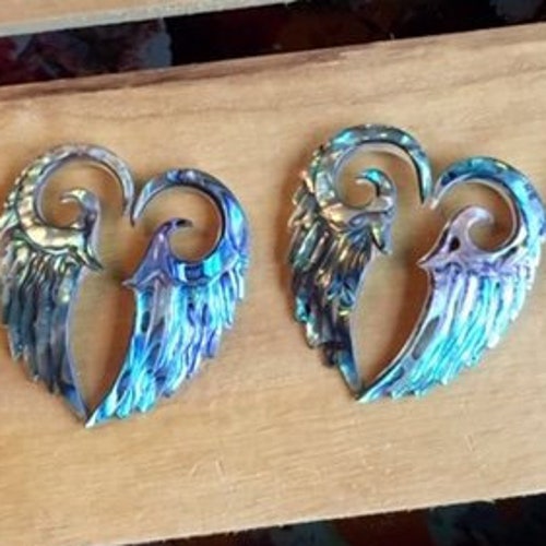 Rainbow Steel Angel Wing Tapers - Pair Of Stretching Plugs For Body Jewelry