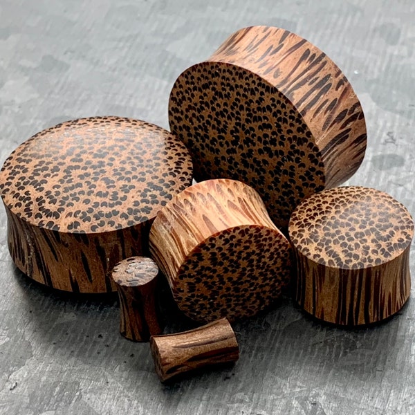 PAIR of Stunning Organic Convex Coconut Wood Plugs - Gauges 8g (3mm) thru 1" (25mm) available!