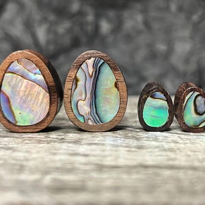 PAIR Abalone Shell Teardrop Sono Wood Saddle Plugs Organic Gauges Tear Drop