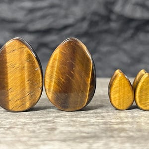 May include: Four teardrop-shaped tiger's eye stone plugs in varying sizes. The plugs have a polished, smooth surface with bands of golden brown and black. The stones are displayed on a gray wooden surface.