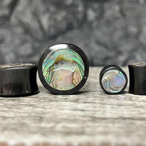 PAIR of Stunning Organic Horn with Abalone Inlay Plugs - Gauges 4g (5mm) up to 7/8" (22mm) available!