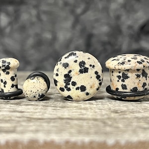 PAIR of Organic Single Flare Dalmatian Jasper Stone Plugs with O-Rings - Gauges 4g (5mm) up to 5/8" (16mm) available!