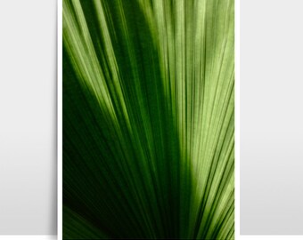 A3 Print / Photographie « Palm Leaf »