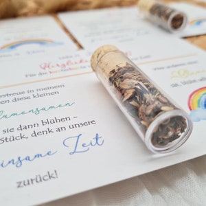 K&ouml;nnte beinhalten: Eine wei&szlig;e Karte mit einem Regenbogen und Wolken darauf gedruckt. Die Karte enth&auml;lt den Text "Bitte verstreue in meinem Namen diese kleinen Blumensamen. Wenn sie dann bl&uuml;hen - St&uuml;ck f&uuml;r St&uuml;ck, denk an unsere gemeinsame Zeit zur&uuml;ck!" und "Dein/e Flo". Ein kleines Glasr&ouml;hrchen gef&uuml;llt mit Blumensamen liegt auf der Karte.