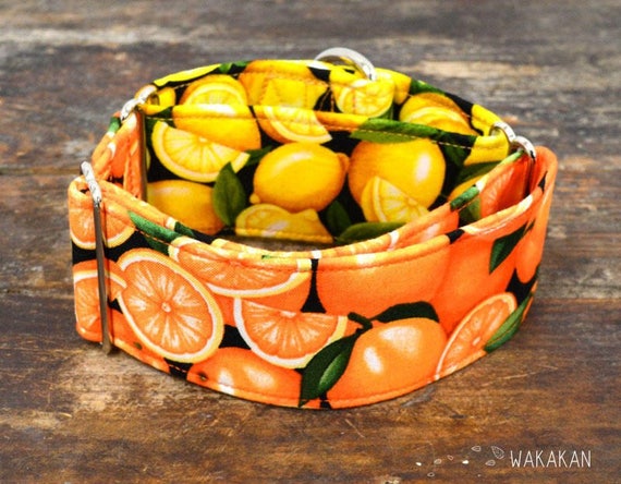 Martingale dog collar model Citrus. Adjustable and handmade with 100% cotton fabric. Lemons and oranges design. Fruity style. Wakakan