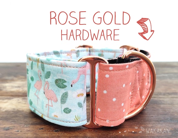 Martingale dog collar Florida
