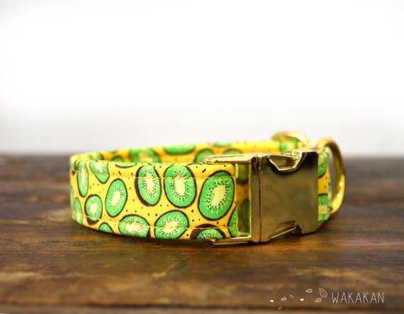 kiwi dog collar