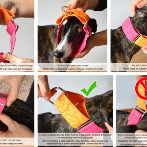 Martingale dog collar model Summer Day. Adjustable and handmade with 100% cotton fabric. Watermelon fruit Wakakan image 10