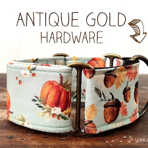Puede incluir: Un collar para perro azul claro con un patrón de calabaza y bellota. El collar tiene herrajes de oro antiguo y el texto "Antique Gold Hardware" está escrito sobre el collar.